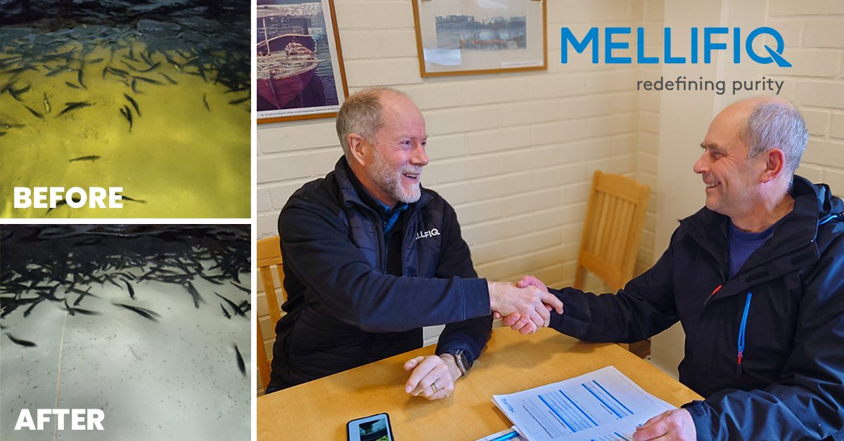 mellifiq's tweet photo. Mellifiq has successfully completed the commissioning of a complete RAS (Recirculating Aquaculture System) water treatment at the Guttorp aquaculture facility in Åland. https://t.co/wJkL4x5U86