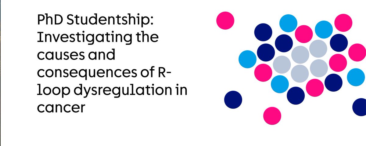 CRUK Cambridge Institute (@cruk_ci) on Twitter photo 🚨 Fully funded #PhD opportunity! 🚨
Passionate about cancer research? Join <a href="/MadziaCrossley/">Magdalena Crossley</a>'s team to investigate how R-loop dysregulation contributes to cancer.
📍 Cambridge, UK
💰 Fully funded
📅 Apply by 24 March 2025
cruk.cam.ac.uk/vacancies/phd-… 🚨 Fully funded #PhD opportunity! 🚨
Passionate about cancer research? Join <a href="/MadziaCrossley/">Magdalena Crossley</a>'s team to investigate how R-loop dysregulation contributes to cancer.
📍 Cambridge, UK
💰 Fully funded
📅 Apply by 24 March 2025
cruk.cam.ac.uk/vacancies/phd-…