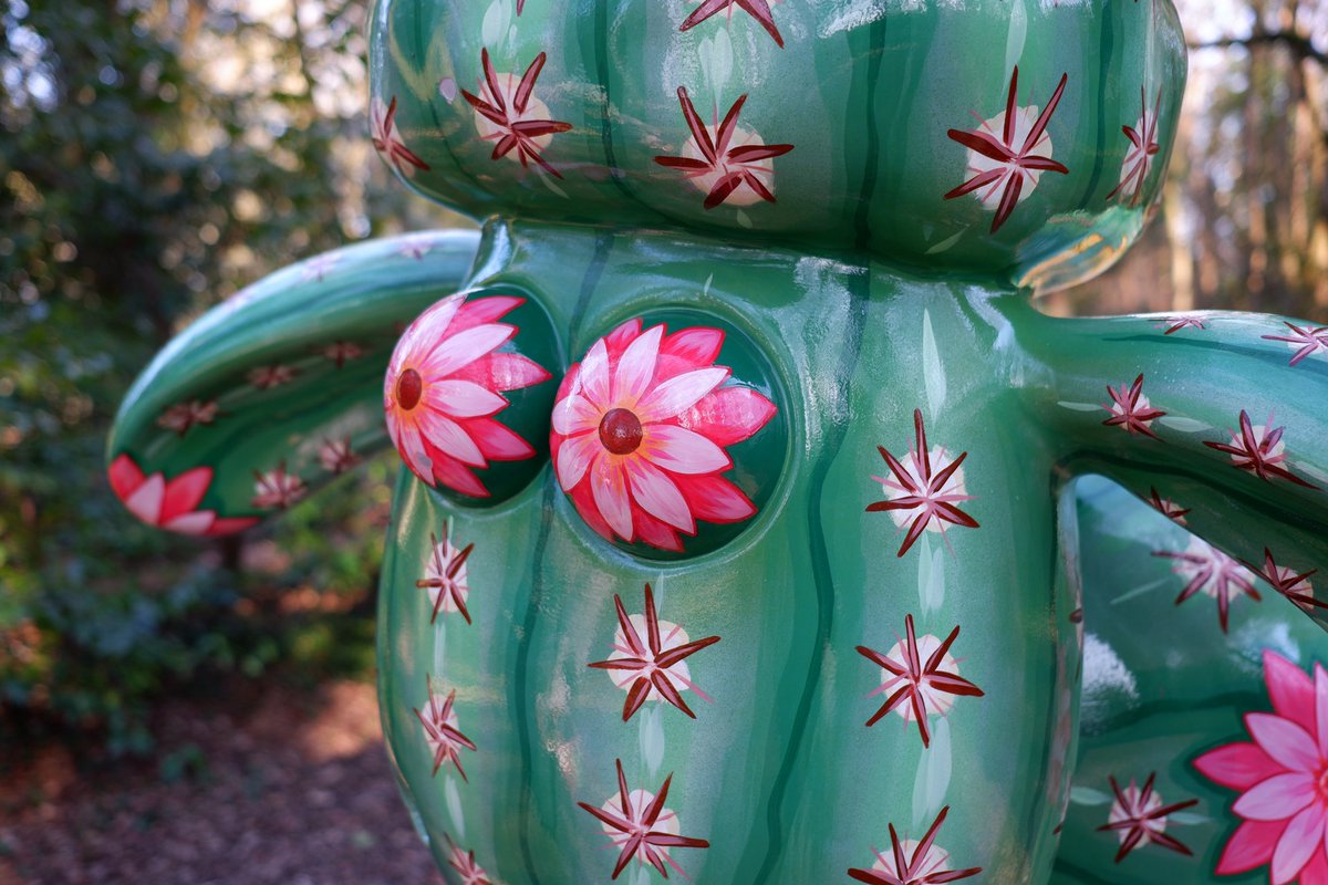 Psi50's tweet image. #ShaunAtAngleseyAbbey @AngleseyAbbeyNT