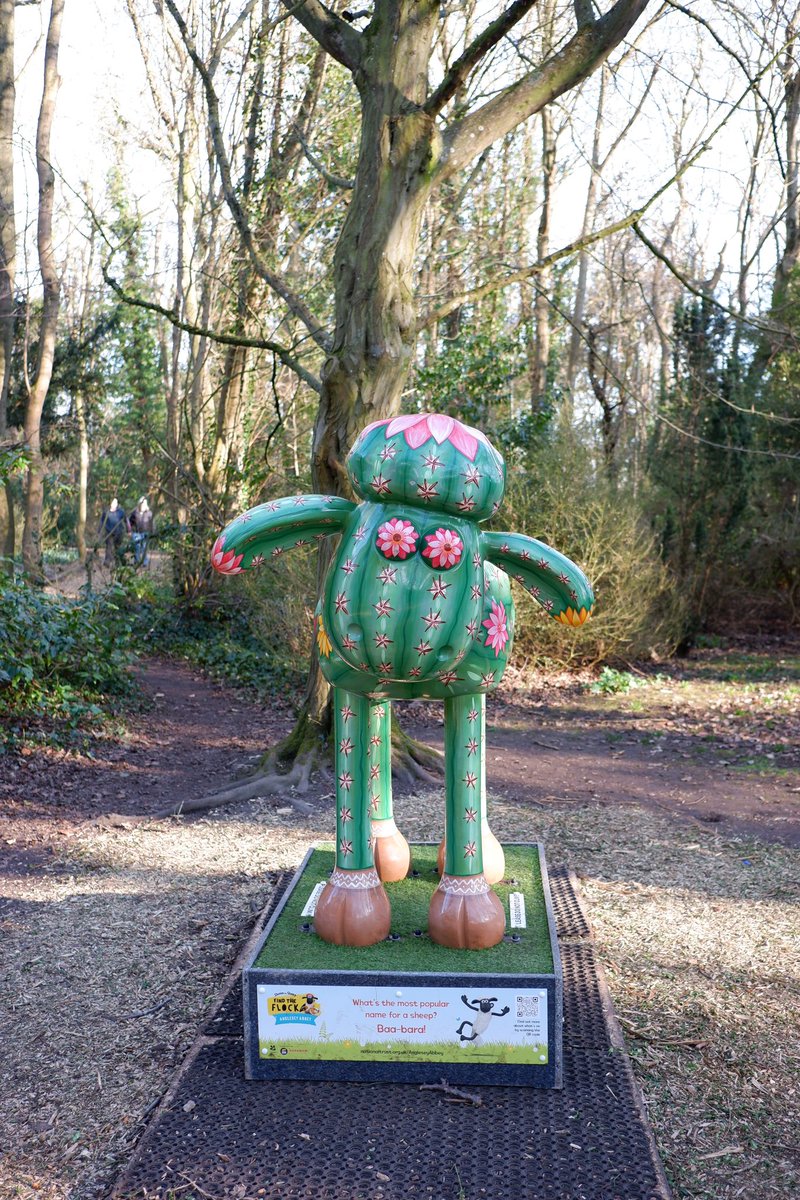 Psi50's tweet image. #ShaunAtAngleseyAbbey @AngleseyAbbeyNT