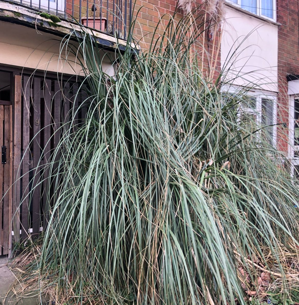 Let's Go Sandwell tweet media