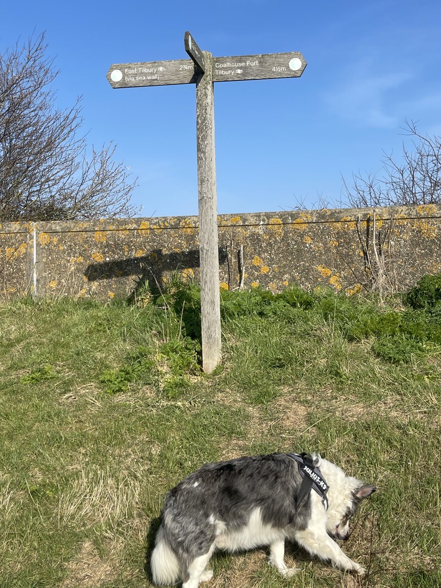 Nice afternoon walk by the sea wall at Coalhouse fort
