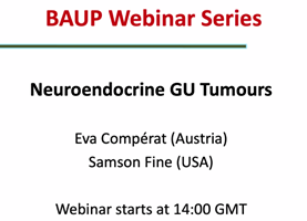 Samson W. Fine, MD (@rovingatuscap) on Twitter photo Excited to join the British Association of Urological Pathologists and our colleague, Dr. Eva Comperat, to discuss Neuroendocrine Tumours in the #gupath realm, with a focus on Bladder/Prostate
Thanks <a href="/MuraliV72899596/">Murali Varma</a> and team for the invitation! Excited to join the British Association of Urological Pathologists and our colleague, Dr. Eva Comperat, to discuss Neuroendocrine Tumours in the #gupath realm, with a focus on Bladder/Prostate
Thanks <a href="/MuraliV72899596/">Murali Varma</a> and team for the invitation!