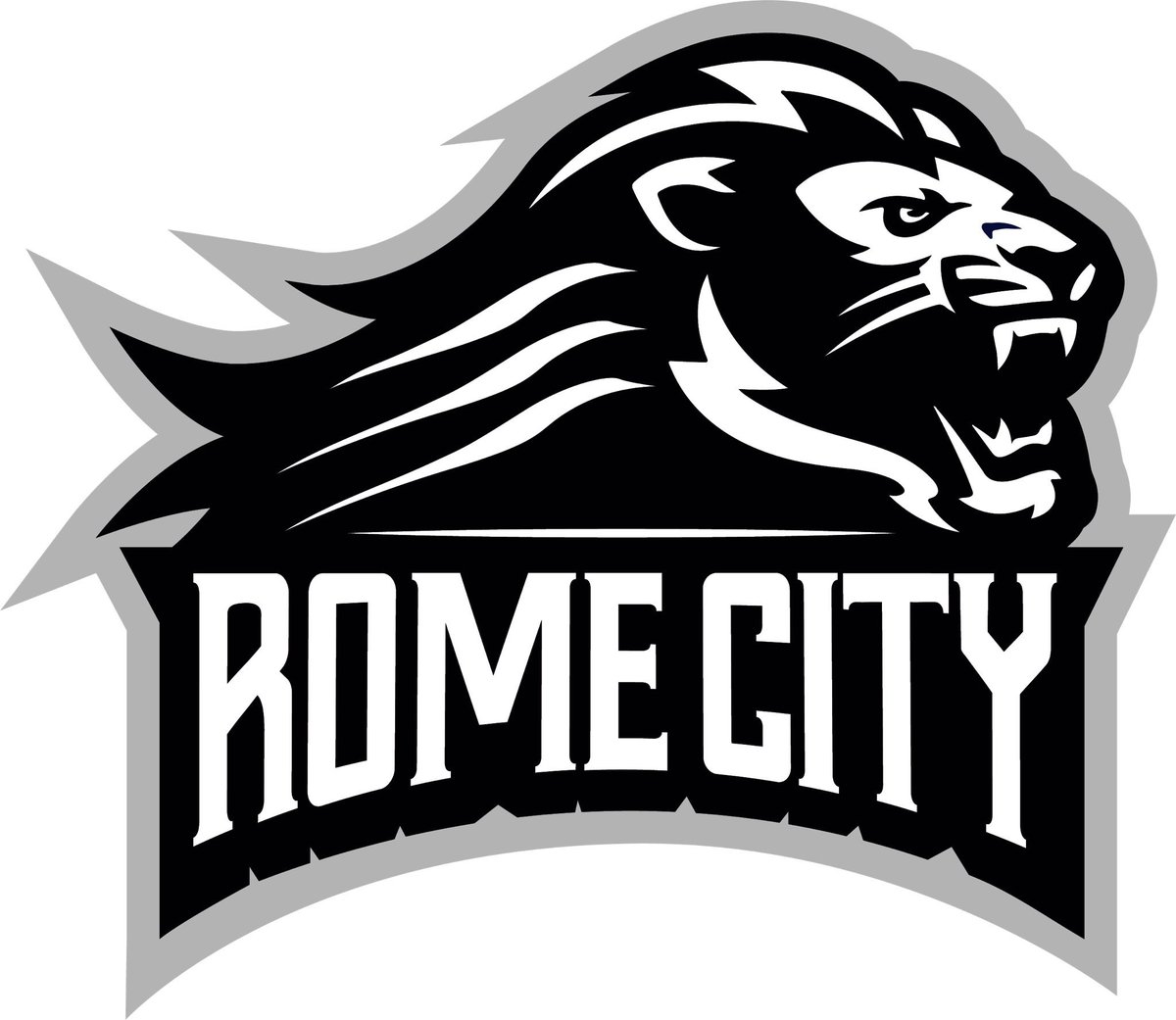 Blessed to receive an offer from Rome City Institute <a href="/RomeCityInst/">Rome City Institute</a> #AGTG