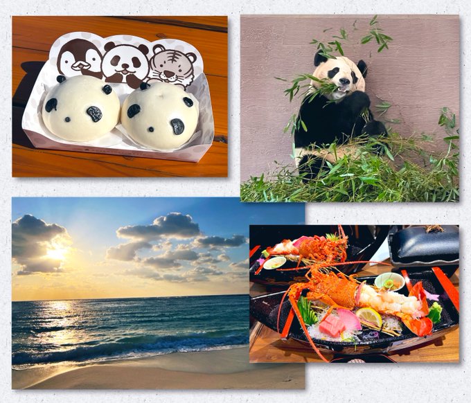 コスプレイヤーここねのTwitter画像23