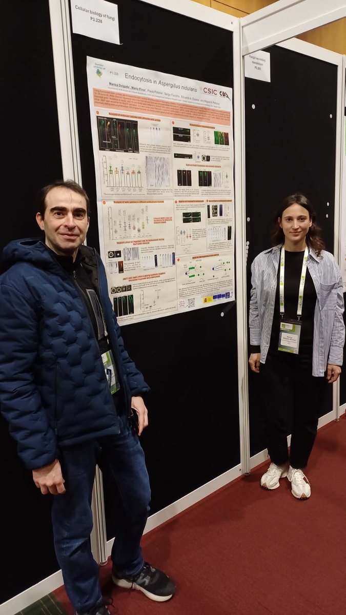 AspergillusLab (@aspergilluslab) on Twitter photo Day 3 of #ecfg17, it's time for Aspergillus lab crew!
Study by time-resolved microscopy the actin module of endocytosis in Aspergillus nidulans using diferents actin probes and endocytosis mutants. Presented by M. Delgado and M. Pinar, led by <a href="/MiguelAPenalva/">Miguel A Peñalva</a>
#actin #endocytosis Day 3 of #ecfg17, it's time for Aspergillus lab crew!
Study by time-resolved microscopy the actin module of endocytosis in Aspergillus nidulans using diferents actin probes and endocytosis mutants. Presented by M. Delgado and M. Pinar, led by <a href="/MiguelAPenalva/">Miguel A Peñalva</a>
#actin #endocytosis