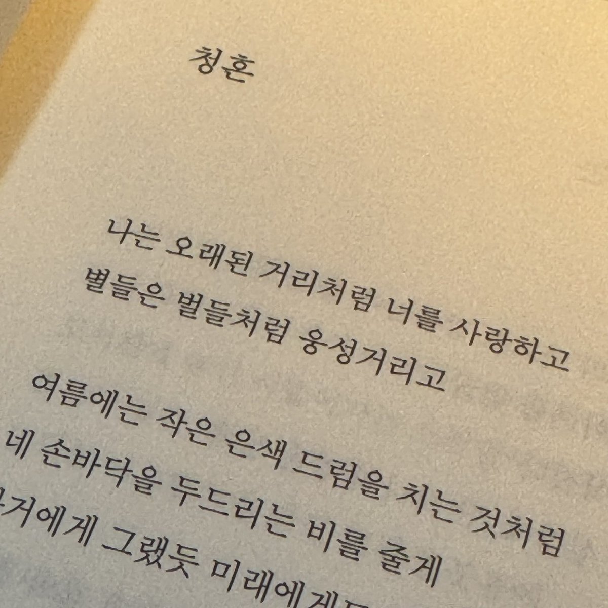 하진짜
진은영 시인의 <나는 오래된 거리처럼 너를 사랑하고>는
끝까지 다 읽고 꼭 처음으로 돌아와서 청혼을 읽어야돼
가장 처음 수록된 이 시의 첫 연이
진짜
너어어무 좋음