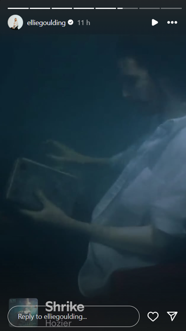 📱 <a href="/EllieGoulding/">Ellie Goulding</a> shares 'Shrike' by <a href="/Hozier/">Hozier</a> on her Instagram story