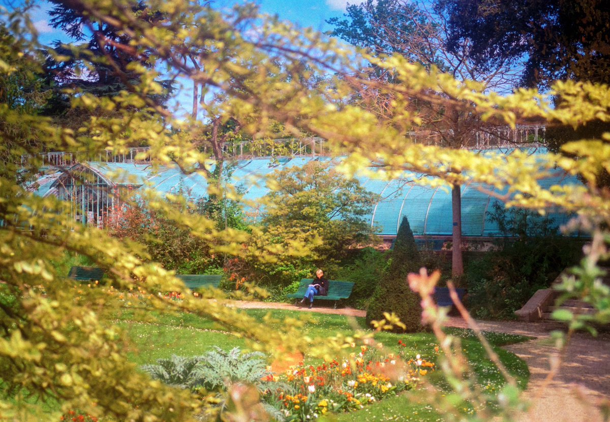 maximevisticot's tweet image. "Hey mais c’est toi qui fait des photos pastel de Paris à l’argentique ?" 🎞️👨🏼🎨