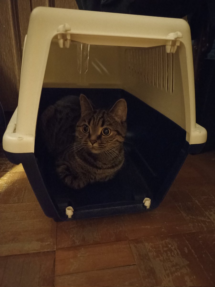 Утром, говорят, орали сирены. Не слышала. Видать, хороший домик у меня. Защищает своими стенами. 
А как у вас с домом? 

За сим отмуркиваюсь
Ваша Кася