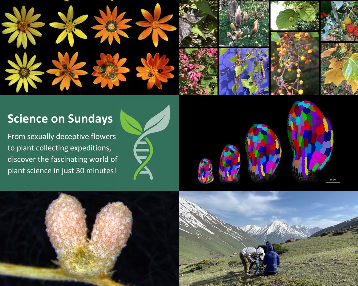 Cam Botanic Garden (@cubotanicgarden) on Twitter photo Did you catch our Director <a href="/Beverley_CUBG/">Beverley Glover</a> on <a href="/BBCRadio4/">BBC Radio 4</a>’s In Our Time? Hear more from her & other inspiring women in plant sciences as we mark 10 years of Science on Sundays! What better way to celebrate #InternationalWomensDay?
🔗botanic.cam.ac.uk/learning/scien… <a href="/plantsci/">Department of Plant Sciences</a> <a href="/slcuplants/">Sainsbury Laboratory Cambridge University (SLCU)</a> Did you catch our Director <a href="/Beverley_CUBG/">Beverley Glover</a> on <a href="/BBCRadio4/">BBC Radio 4</a>’s In Our Time? Hear more from her & other inspiring women in plant sciences as we mark 10 years of Science on Sundays! What better way to celebrate #InternationalWomensDay?
🔗botanic.cam.ac.uk/learning/scien… <a href="/plantsci/">Department of Plant Sciences</a> <a href="/slcuplants/">Sainsbury Laboratory Cambridge University (SLCU)</a>