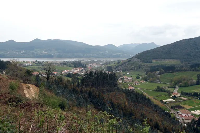 La Reserva de la Biosfera de Urdaibai, en Bizkaia, cumple 40 años siendo protagonista del debate público sobre el proyecto de expansión del Museo Guggenheim planteado por las instituciones vascas en esa área protegida. efeverde.com/la-reserva-viz…