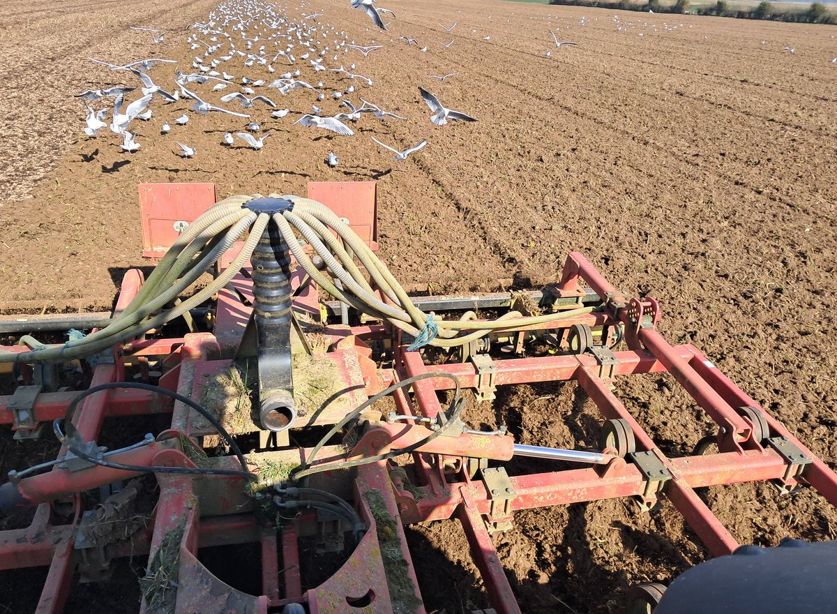 ChristopheB. tweet media