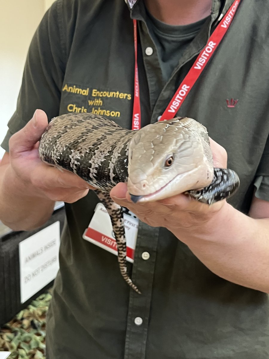 Axbridge C of E Academy tweet media