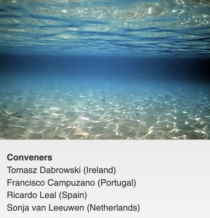 Call for abstracts for the ICES ASC 15–18/09/2025) is  open until 17 March. Spread the word and submit your contributions to Theme Session J: Integrating oceanographic data and products into marine ecosystems research! ices.dk/events/asc/202…