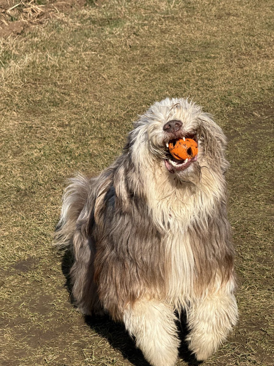 Meine lieben! Mal wieder was von mir 😃
Uns geht’s gut und wir genießen den beginnenden Frühling 😃