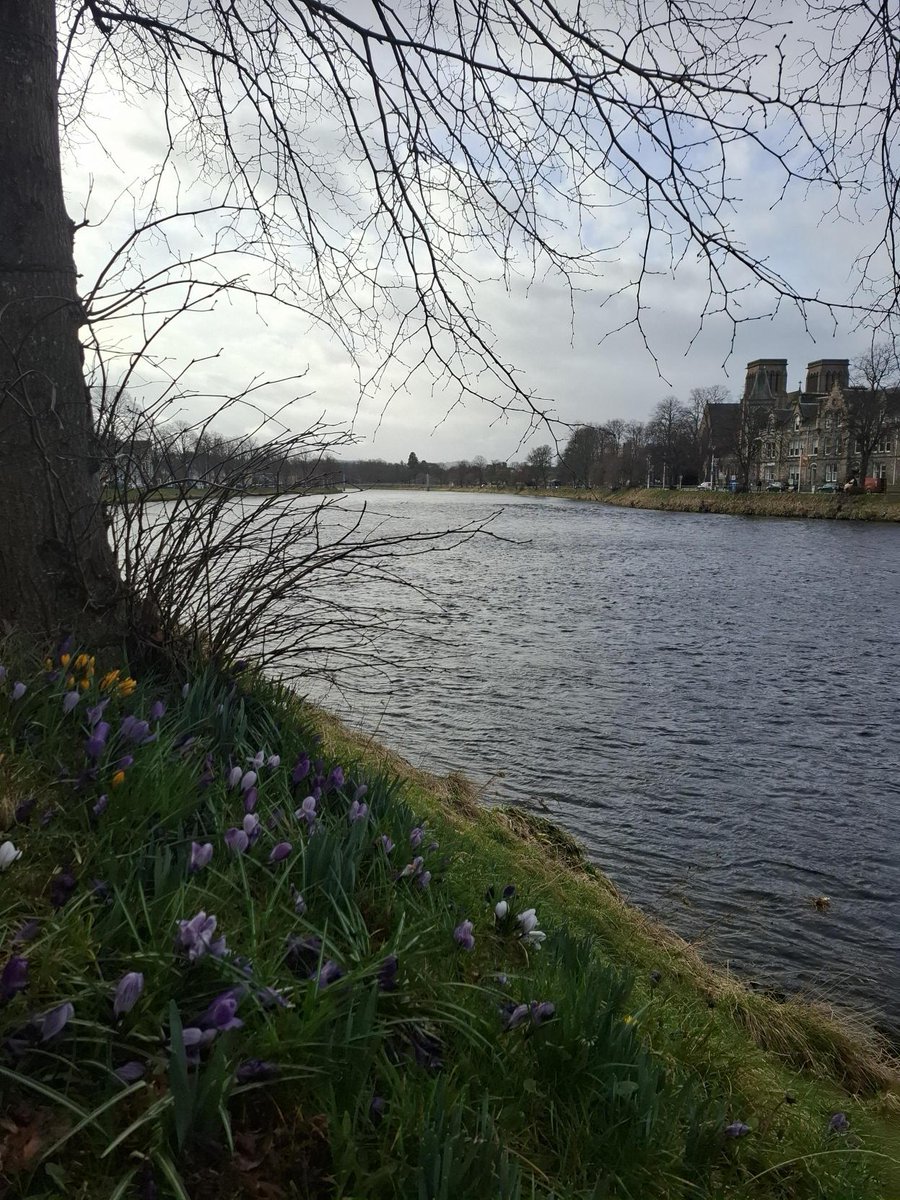 ktpnorthscot's tweet image. This week Emma Craig is visiting two of our partnerships in Inverness, including the KTP between @ThinkUHI and SPS!
⭐ Did you know that the partnership between UHI and SPS is Scotland's first Management #KTP in the public sector?
🔗 bit.ly/UHI-SPS_KTP