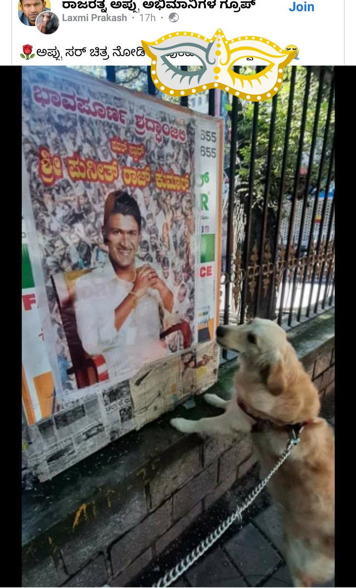 Karnatakaa_Bo2's tweet image. ಅಪ್ಪು ಚಿತ್ರ ನೋಡಿ ಉಚ್ಚೆ ಹೋದ ನಾಯಿ .ನಾಯಿಗಳನ್ನು ಅಪ್ಪು ಚಿತ್ರದ ಕಡೆ ಕರ್ಕೊಂಡ್ ಹೋಗ್ಬೇಡಿ ನೀವು ಮಾಡುವ ತಪ್ಪುಗಳಿಂದ ಅಪ್ಪು ಸರ್ ಗೆ ಅವಮಾನ.

#Puneethrajakumar