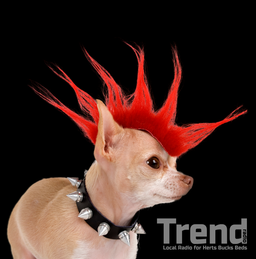 Got a chance to talk music with Colin from UK-based radio show Never Mind the Hubbocks. He played our songs Simp-le Life and Continue, some Hendrix and Gary Numan, too. Give it a listen here - player.autopod.xyz/821888