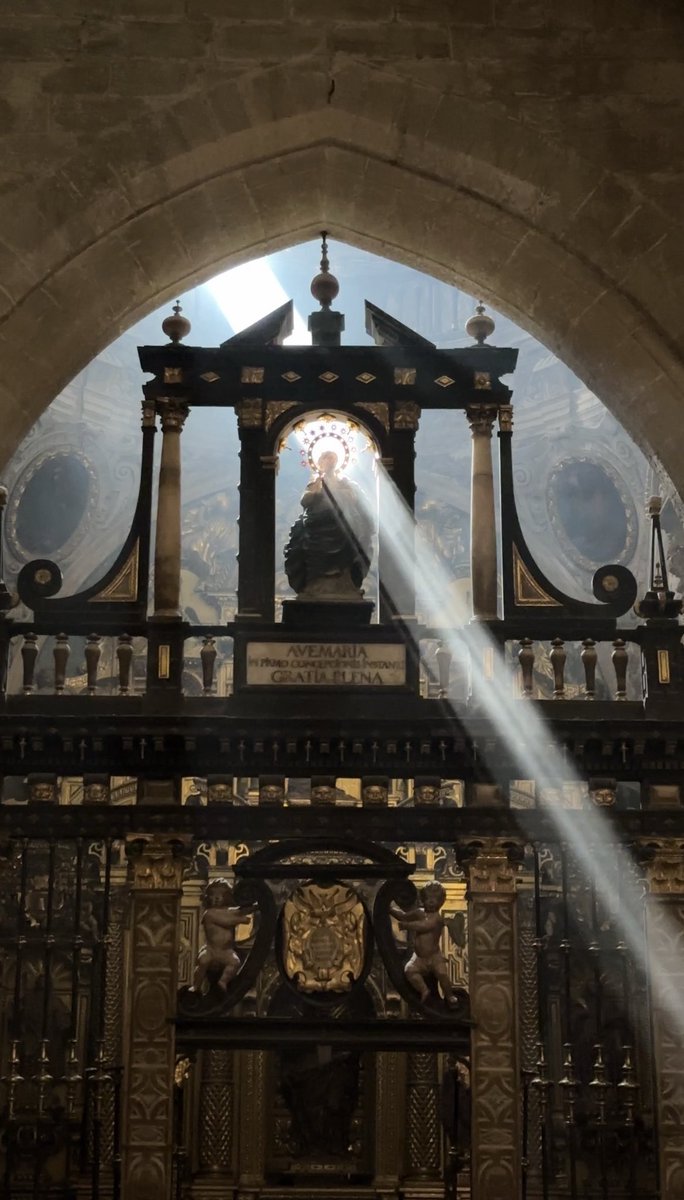aytohuesca's tweet photo. Hoy, en la Catedral de Huesca, se ha podido disfrutar del asoleo de la Inmaculada, un fenómeno en el que los rayos del sol iluminan la talla de la Inmaculada en la capilla de San Joaquín, creando un efecto casi místico. ✨

#Asoleo #Inmaculada #Catedral #Huesca #AytoHuesca https://t.co/uwJWyLezAV