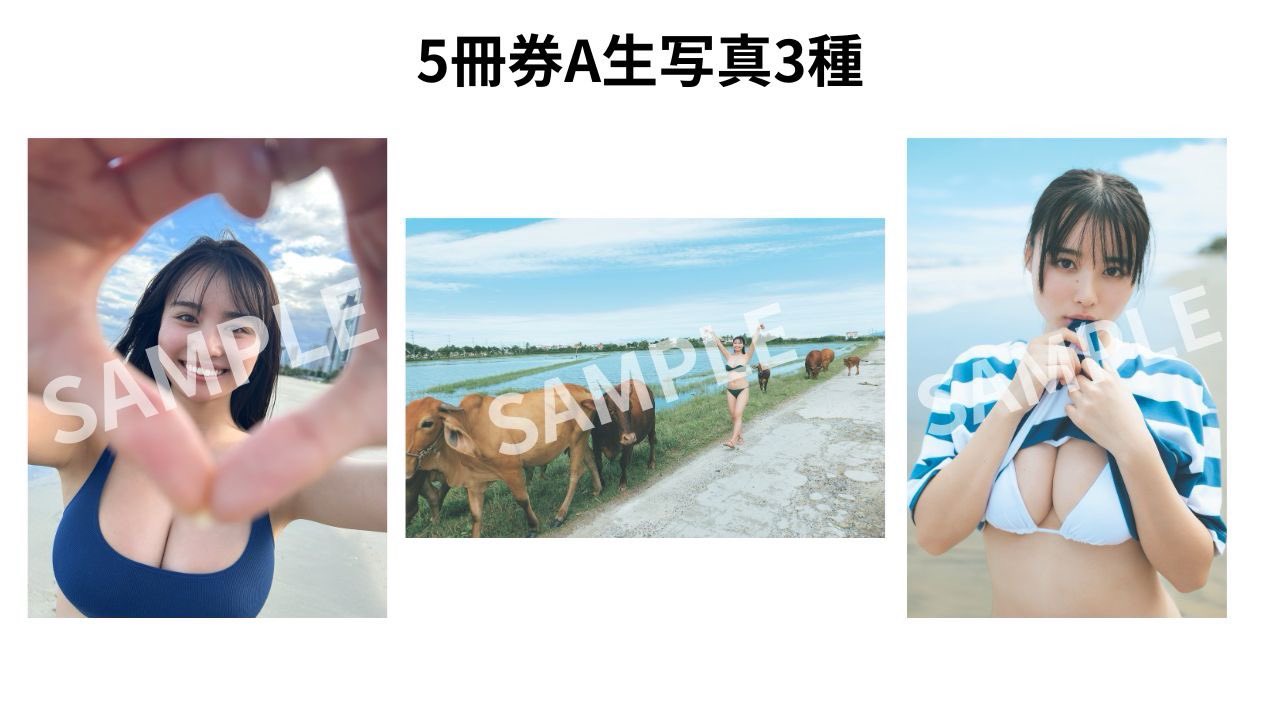 豊島 心桜 on X: 