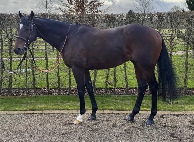 Tattersalls Online (@tatts_online) on Twitter photo #TattsOnline March Sale
๐ฟ๐ผ๐๐ธ ๐๐๐ท๐ด๐๐ธ๐
Lot 43 ๐๐๐๐๐๐๐๐ ๐๐๐๐๐
41,000gns
Vendor: <a href="/dullingham_park/">Dullingham Park</a>
Purchaser: <a href="/MDOCallaghan/">Michael OโCallaghan</a>
View sale: bit.ly/41gRCRl #TattsOnline March Sale
๐ฟ๐ผ๐๐ธ ๐๐๐ท๐ด๐๐ธ๐
Lot 43 ๐๐๐๐๐๐๐๐ ๐๐๐๐๐
41,000gns
Vendor: <a href="/dullingham_park/">Dullingham Park</a>
Purchaser: <a href="/MDOCallaghan/">Michael OโCallaghan</a>
View sale: bit.ly/41gRCRl