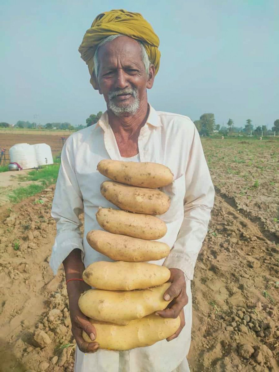 बनास के आलू 🥔 जहां मेहनत मिले मिठास से!