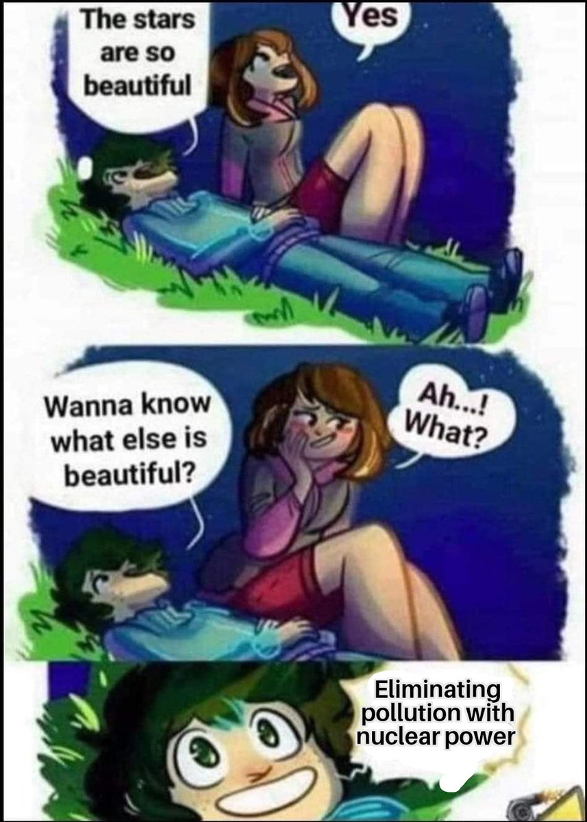 Nuclear power plants prevent 2 billion tons of carbon dioxide (IAEA Climate Change Report) and 55,000 premature deaths from air pollution annually (NASA/Columbia University study in Environmental Science &amp; Technology) that would otherwise occur if the same electricity were