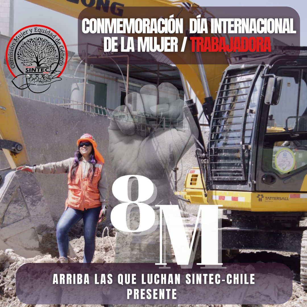 La "Comisión Nacional de Mujeres y Equidad de Género del SINTEC-Chile" saluda a todas las mujeres que día a día luchan por sus hijas e hijos en la construcción. 

¡Por un Sindicalismo Social!
¡Arriba las que luchan!