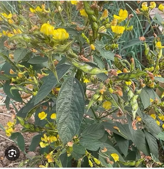 Ba Binta tweet media