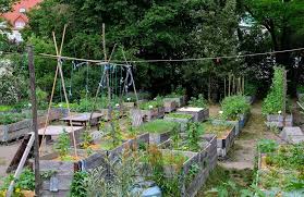 Grüne Oase in Leipzig – Der Gemeinschaftsgarten Annalinde. Ein offener Garten, kostenlos für alle. Aus dem spontanen Zusammenschluss junger Leute ist eine feste Institution herangewachsen.  ardmediathek.de/video/der-oste…