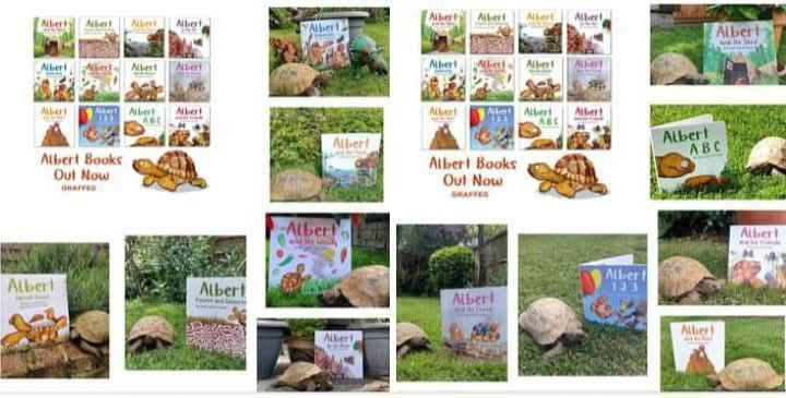 AlbertTortoise's tweet image. For your #consideration on #WorldBookDay all #inspired by real #ALBERTthetortoise ... 8 ALBERT #picturebooks, 3 #BoardBooks &amp;amp; #ActivityBook Alberttortoise.com
#tortoise #bookseries #storytime #earlyreaders #illustration