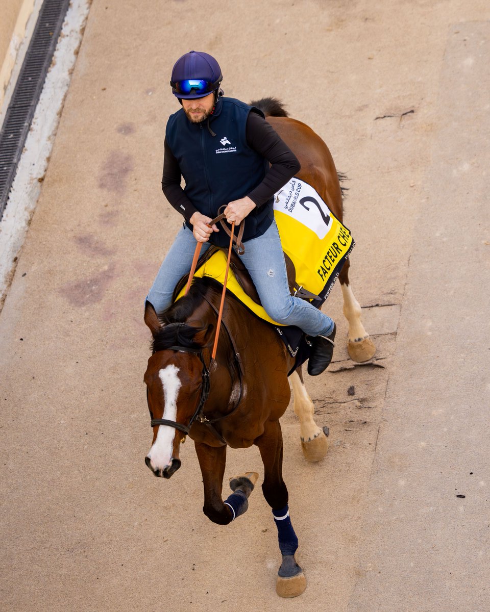 Dubai Racing Club (@racingdubai) on Twitter photo Bonjour! 🇫🇷
It's so nice to have you back, FACTEUR CHEVAL!
#DWC25 l <a href="/TeamValor/">Team Valor</a> l <a href="/EcurieReynier/">Ecurie J.Reynier</a> Bonjour! 🇫🇷
It's so nice to have you back, FACTEUR CHEVAL!
#DWC25 l <a href="/TeamValor/">Team Valor</a> l <a href="/EcurieReynier/">Ecurie J.Reynier</a>