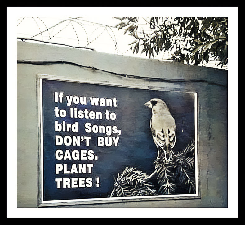 Irena Buzarewicz (@irenabuzarewicz) on Twitter photo 