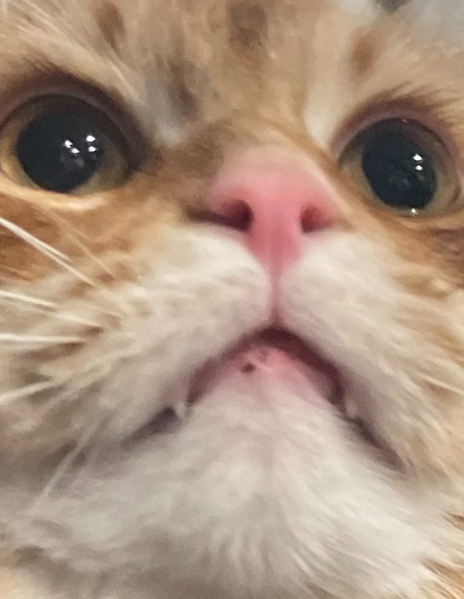 To make up for no rocket pics from me for flight 8 here’s Greg pondering the universe