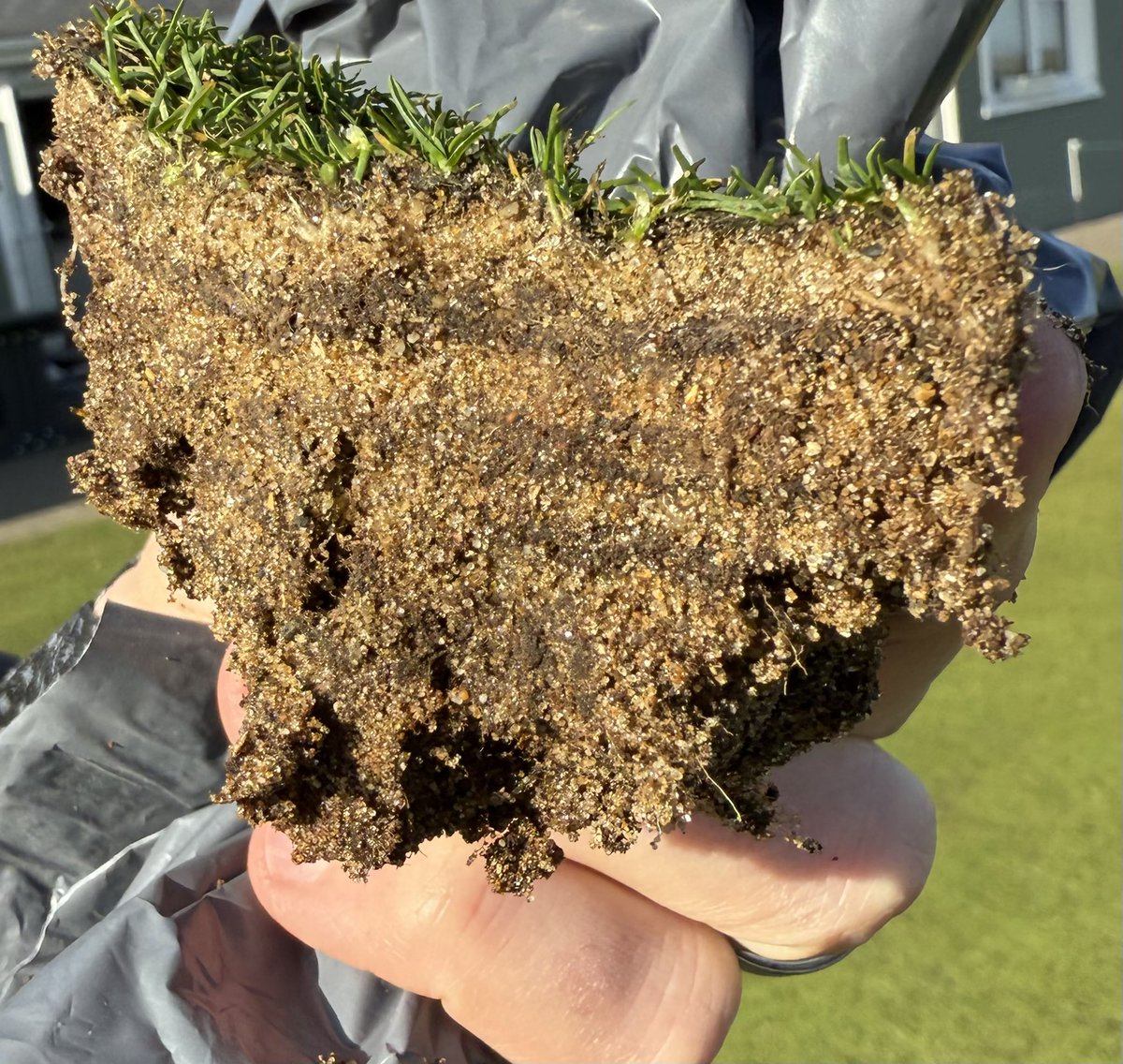 Dr John Dempsey ⛳️🔬 tweet media