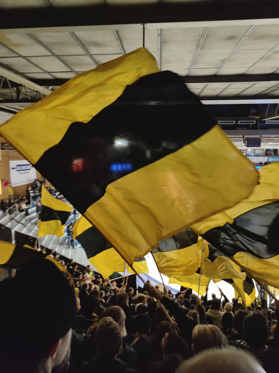 021danne's tweet image. Forza gulsvart!