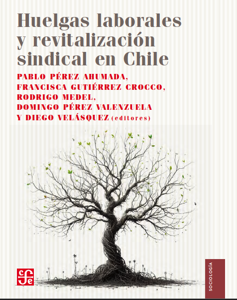pablo_perez_a's tweet photo. ¿Se han revitalizado los sindicatos en 🇨🇱? 
En este libro editado junto a F. Gutiérrez, @Rodrigo_Medel_S , D. Pérez y D. Velásquez, respondemos esta pregunta. El libro muestra nuestro trabajo en el Observatorio de Huelgas Laborales del @CentroCOES y saldrá pronto por @FCEChile https://t.co/jTSxF54wqZ