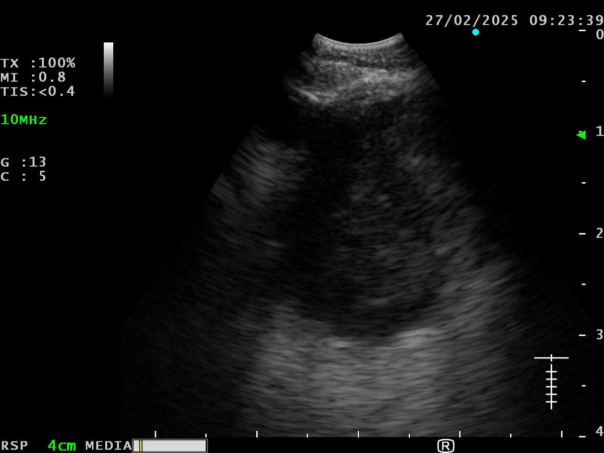 Juan José tweet media