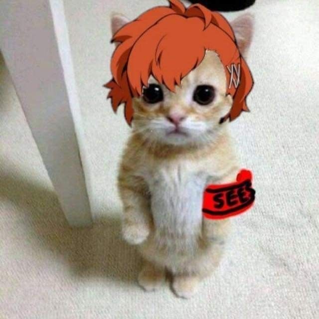 JustFoolYou's tweet image. " Hello.. "

Trying to socialize-