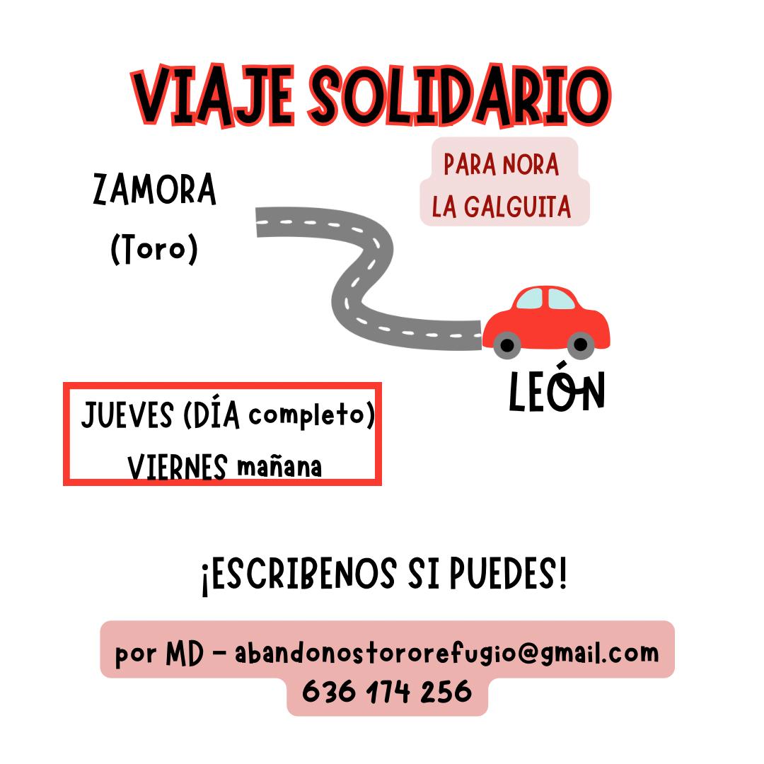 #zamora #Leon #León #castillayleón 
abandonostororefugio@gmail.com 
636174256