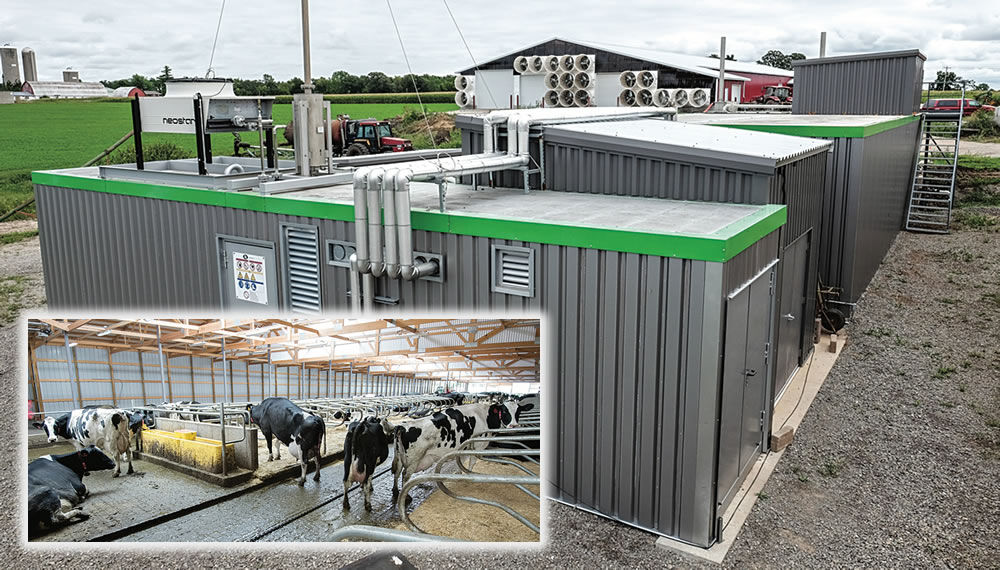 GoNaturalEd's tweet image. Anaerobic digestion is a biological process that breaks down manure in the absence of oxygen. It produces a biogas that can be used to generate heat or electricity, or that can be refined into a renewable natural gas. 🐮💩 ⚡bit.ly/408Q9Mx #manure #biogas #cows #energy
