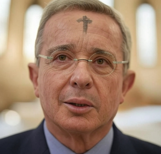 Fᴀʙʀɪᴄɪᴏ Sᴇɢᴜʀᴀ S. tweet media