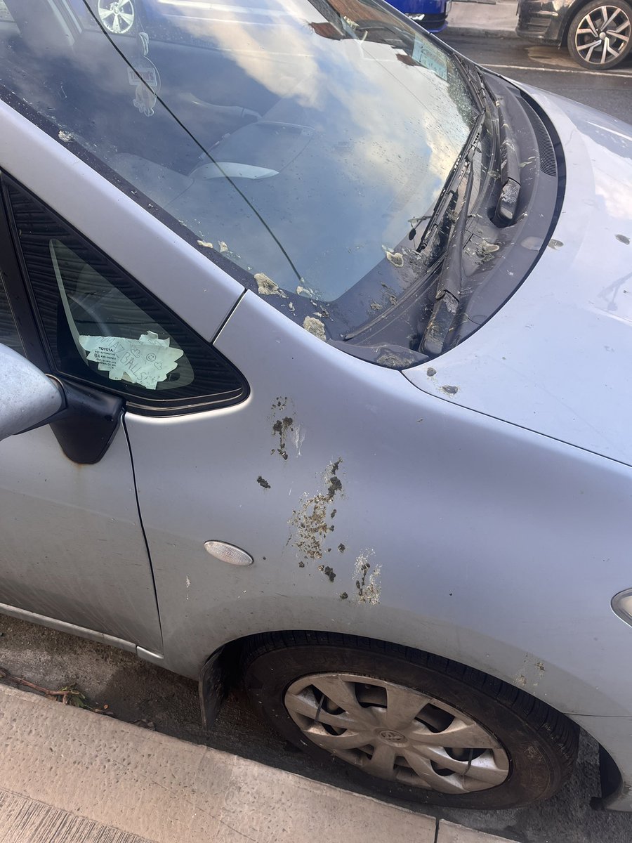 Rob McGrath tweet media