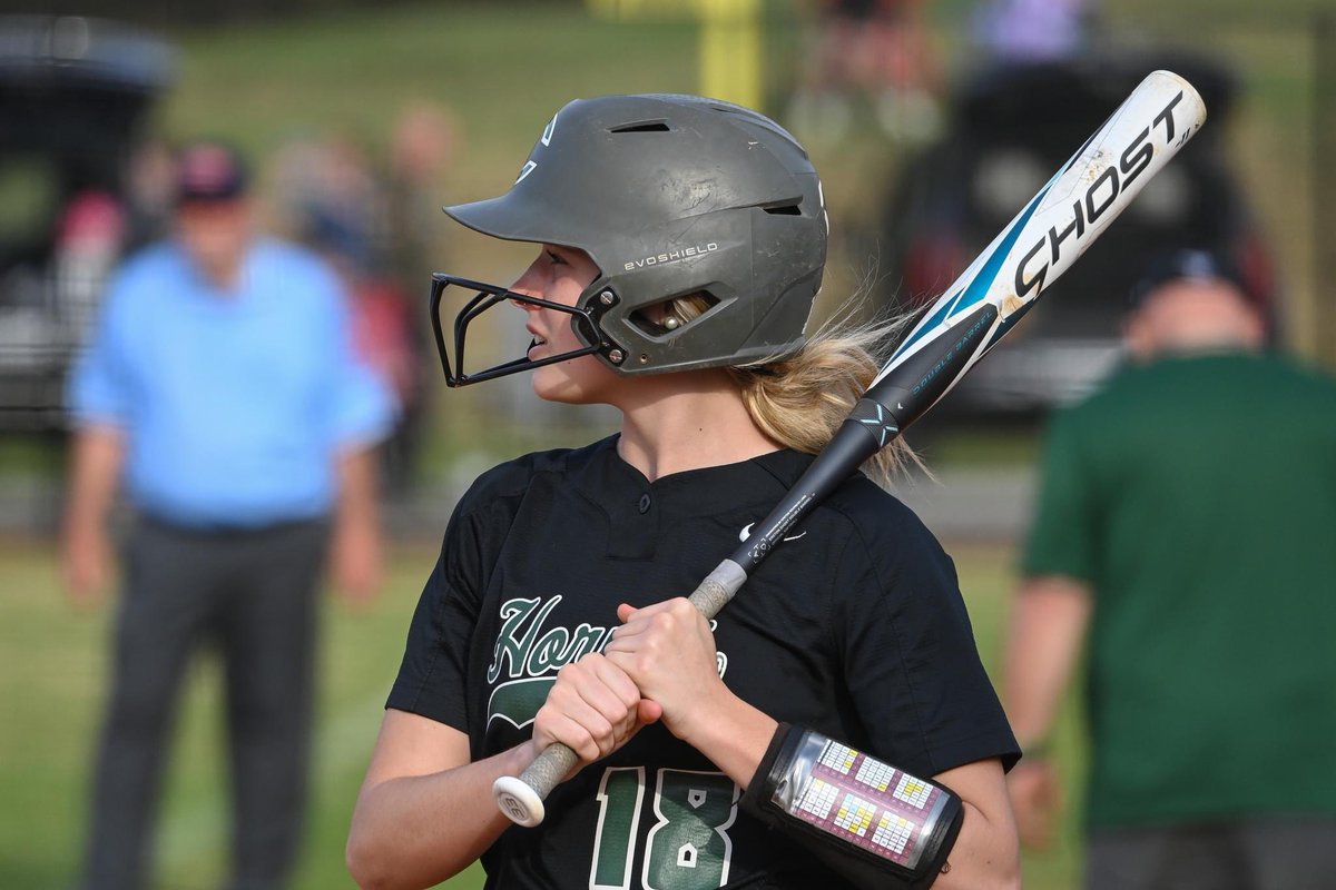 Carter Lady Hornet Softball tweet media