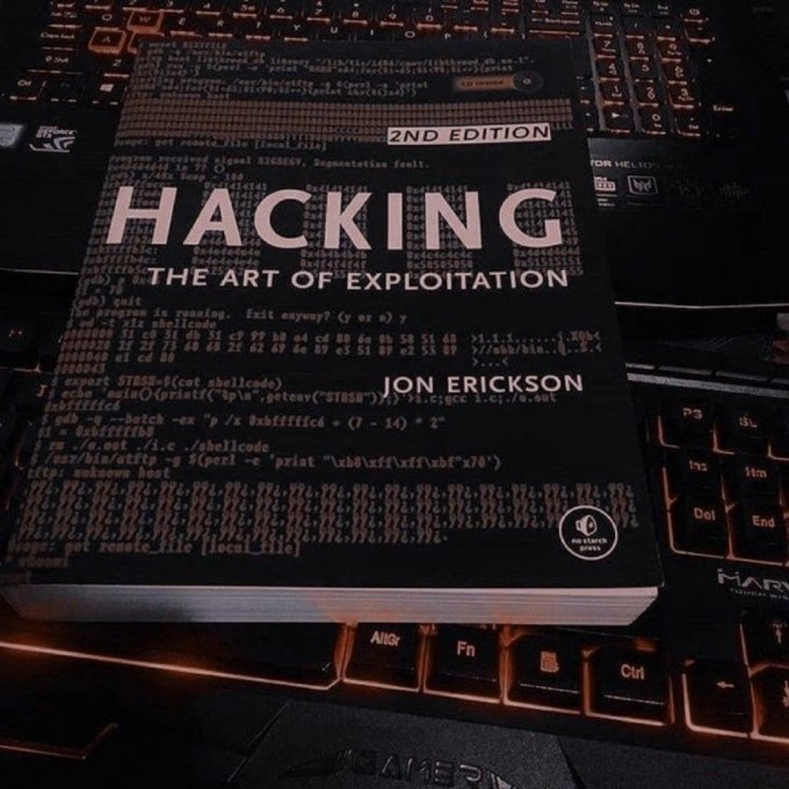 SecurityTrybe's tweet image. Top 20 FREE Hacking Books (Online)
👇