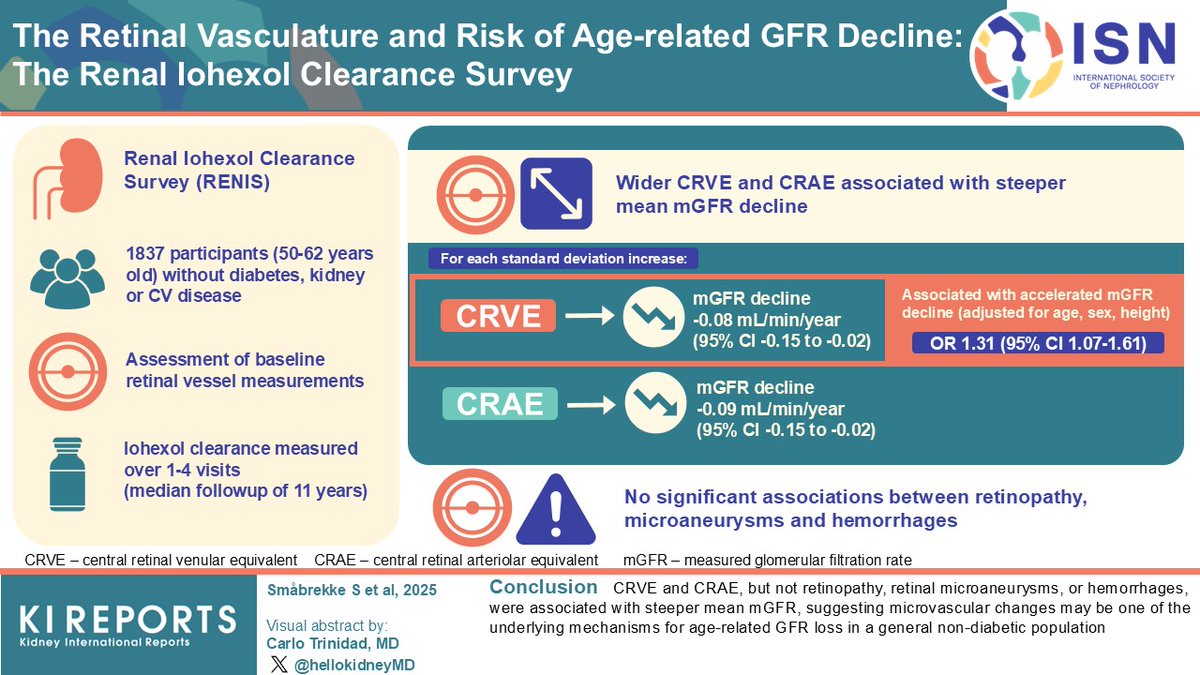 KIReports's tweet photo. The #Retinal #Vasculature and Risk of Age-related #GFR Decline - The Renal #Iohexol Clearance Survey
#VisualAbstract by @hellokidneyMD
https://t.co/oeLlE3IZ4l https://t.co/hf6QPizBgE