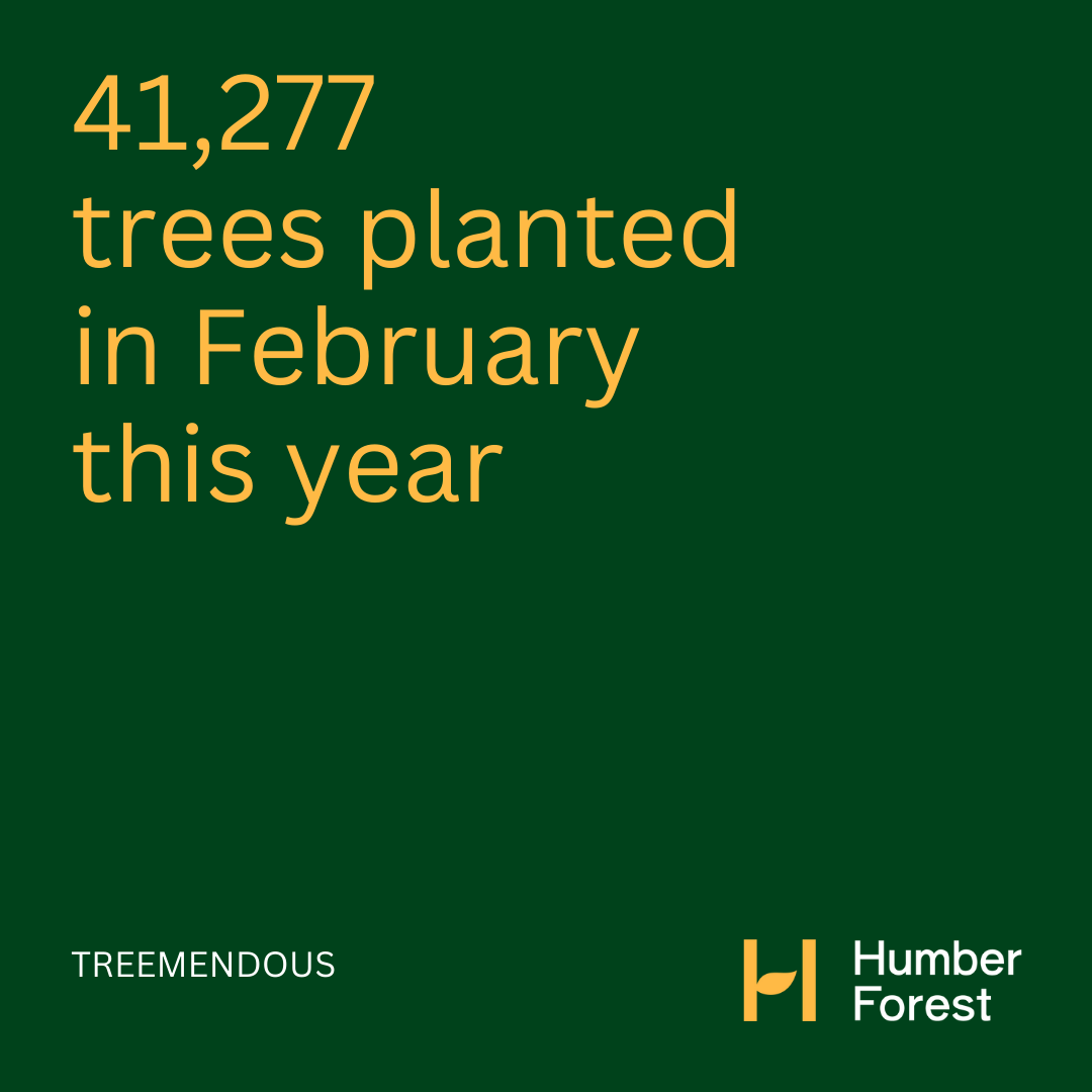 Humber Forest tweet media