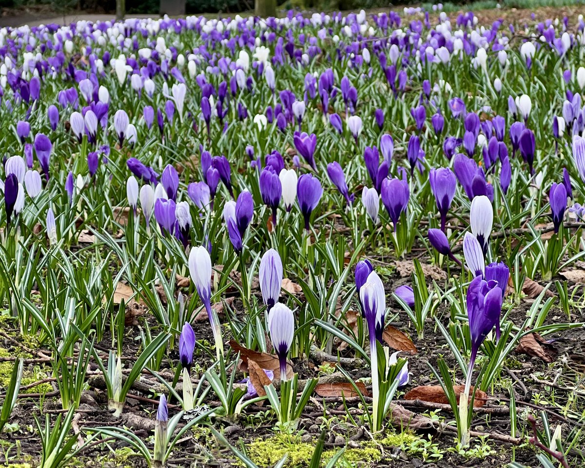 Michael Sadgrove 🇪🇺 tweet media