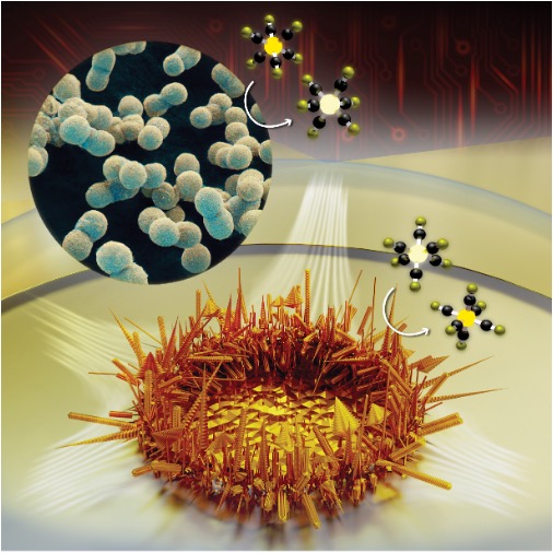 The best paper you are going to read this week! 
pubs.acs.org/doi/10.1021/ac…